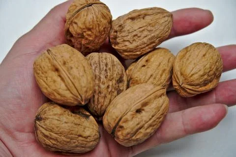 Walnuts Stock Photos