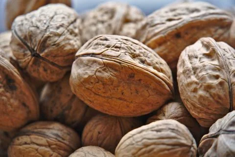 Walnuts Stock Photos