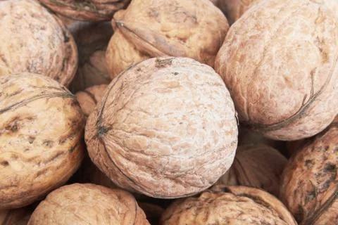 Walnuts Foto stock