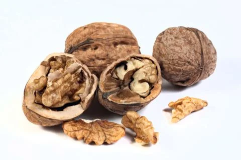 Walnuts 스톡 사진