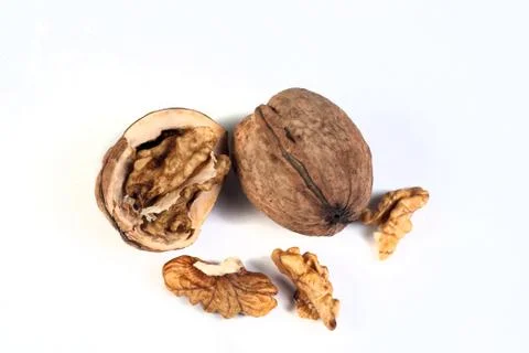 Walnuts 스톡 사진
