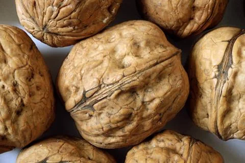 Walnuts Stock Photos