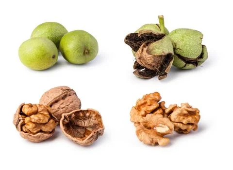 Walnuts Stock Photos