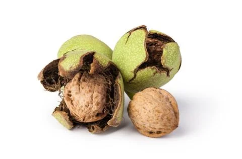 Walnuts Stock Photos