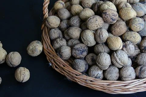 Walnuts Foto stock