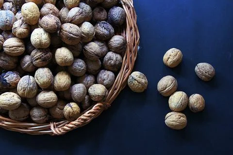 Walnuts Stock Photos