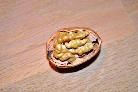 Walnuts   Stock Photos