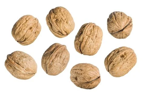 Walnuts Stock Photos