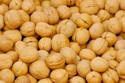 Walnuts in a pile of shell Stock-Fotos