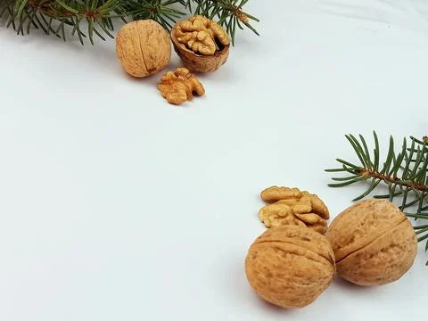 Walnuts with pine branches Stock Photos