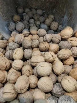 Walnuts poured into a basket Stock Photos
