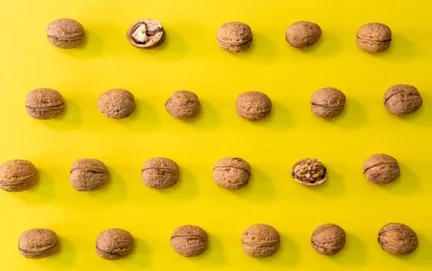 Walnuts in rows, pattern of walnuts on a bright bold yellow background Stock Photos