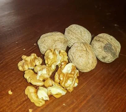 Walnuts scene in their shells and without them Stock Photos