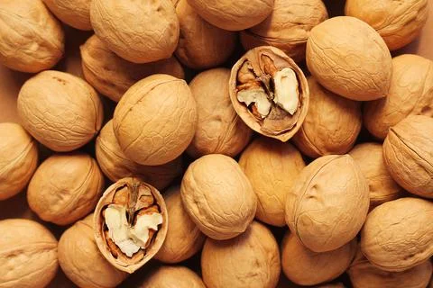 Walnuts in the shell. background, close-up, top view 写真素材