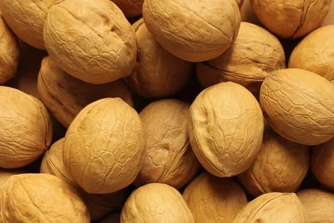 Walnuts in the shell. background, close-up, top view 스톡 사진