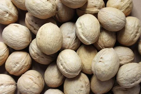 Walnuts in the shell. background, close-up, top view Stock Photos