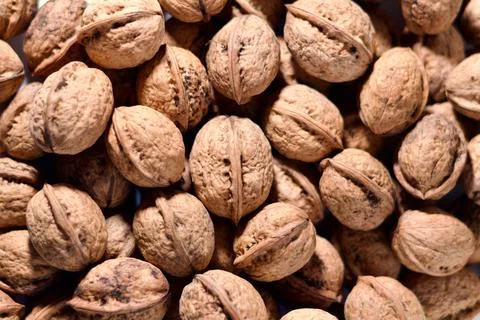 Walnuts in Shell Background, Natural Organic Nuts Texture Fotos de archivo