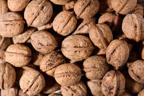 Walnuts in Shell Background, Natural Organic Nuts Texture 스톡 사진