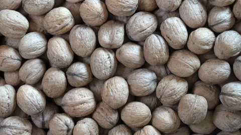 Walnuts in shell close up. Abstract walnuts heap pattern background, rotates Stock Footage 137286817