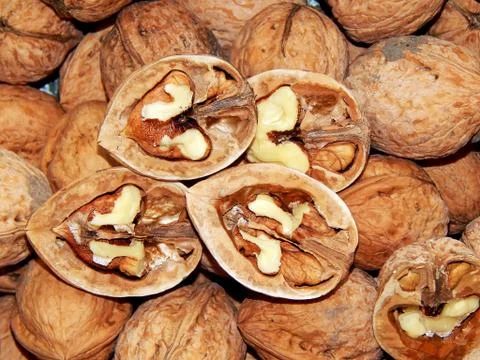 Walnuts in shell close-up Stock Photos
