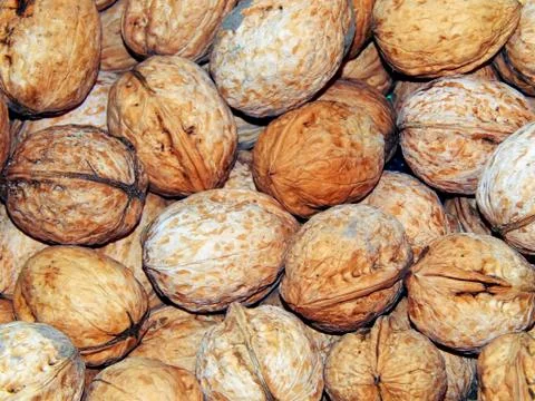 Walnuts in shell close-up Stock Photos