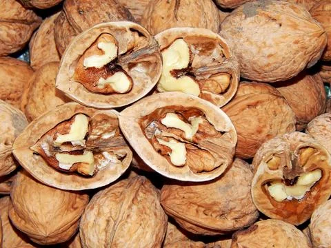 Walnuts in shell close-up Stock Photos