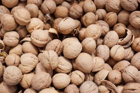 Walnuts in the shell on the counter of the store Stock Photos