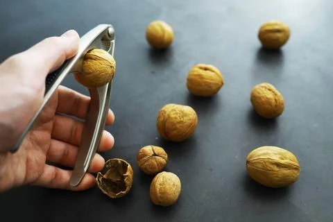 Walnuts in a shell on a gray background. Nutcracker and scattering of nuts. Foto stock