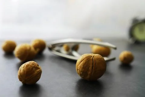 Walnuts in a shell on a gray background. Nutcracker and scattering of nuts. Stock Photos