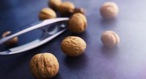 Walnuts in a shell on a gray background. Nutcracker and scattering of nuts. Stock Photos