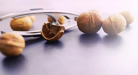 Walnuts in a shell on a gray background. Nutcracker and scattering of nuts. Stock Photos