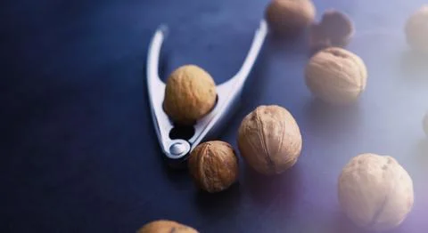 Walnuts in a shell on a gray background. Nutcracker and scattering of nuts. Foto stock