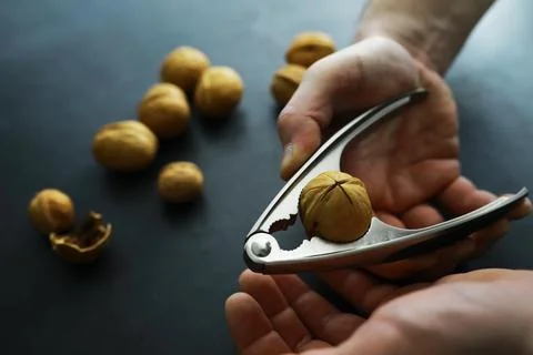Walnuts in a shell on a gray background. Nutcracker and scattering of nuts. Foto stock