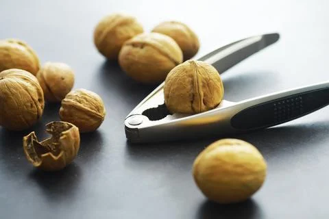 Walnuts in a shell on a gray background. Nutcracker and scattering of nuts. Stock Photos