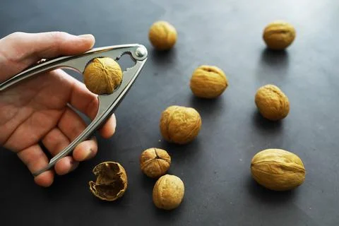 Walnuts in a shell on a gray background. Nutcracker and scattering of nuts. Foto stock