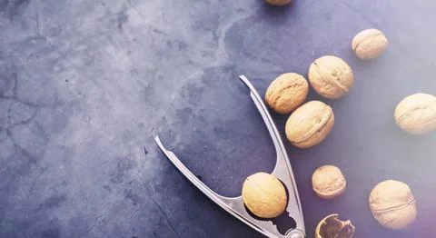 Walnuts in a shell on a gray background. Nutcracker and scattering of nuts. Foto stock
