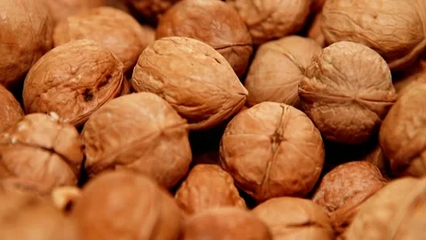 Walnuts in a shell at the grocery store Stock Footage 209145978