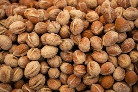 Walnuts in shell heap pattern as organic food background Stock Photos