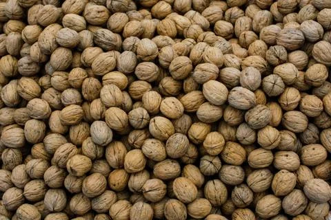 Walnuts in shell heap pattern as organic food background 写真素材