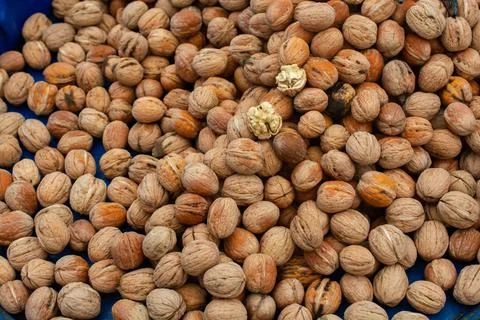Walnuts in shell heap pattern as organic food background Stock Photos