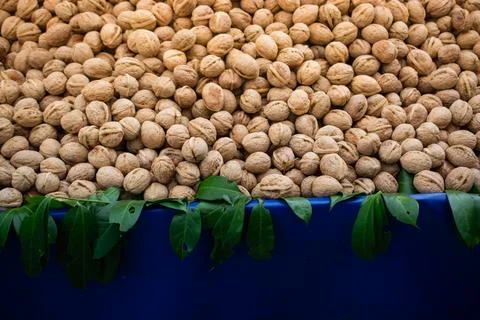 Walnuts in shell heap pattern as organic food background Stock Photos