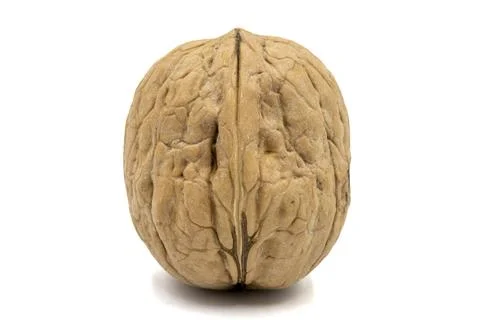 Walnuts in shell isolated on a white background. Clipping Path. Full depth of Stock Photos