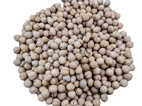 Walnuts in the shell isolated on white Foto stock