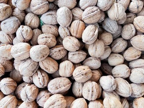 Walnuts in shell natural background Stock Photos
