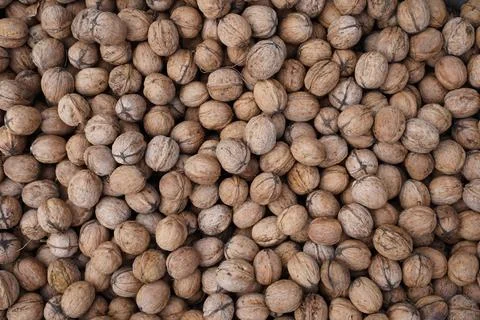 Walnuts in shell. Natural walnut background pattern texture. Stock Photos