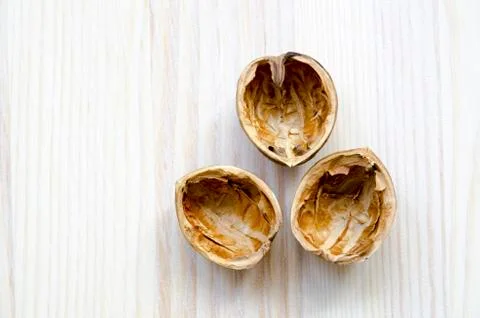 Walnuts shell Stock Photos
