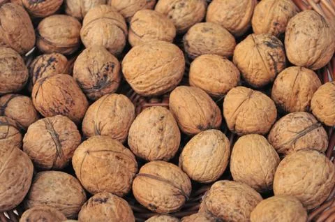 Walnuts in shell Stock Photos