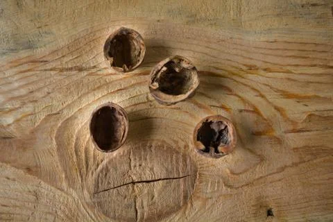 Walnuts with shell Stock Photos