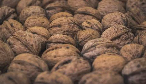 Walnuts with Shell Stock Photos