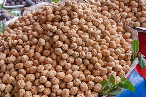 Walnuts in Shell Stock Photos